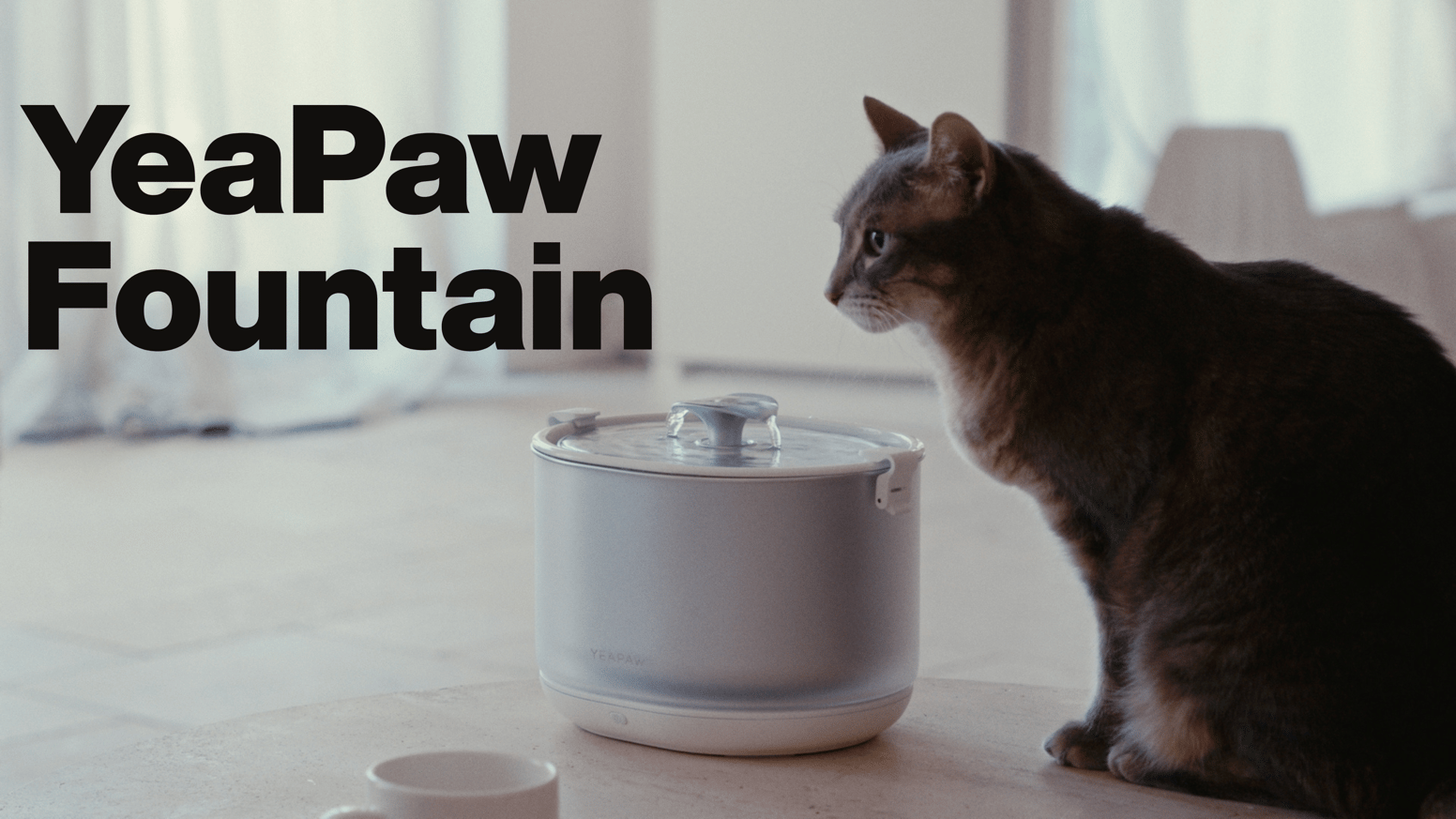 YeaPaw Fountain: Cordless. No Pump. Better Filtration. by YeaPaw —  Kickstarter