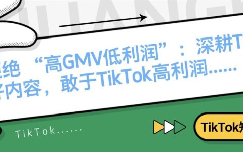 拒绝 “高GMV低利润”：深耕TikTok好内容，敢于TikTok高利润！
