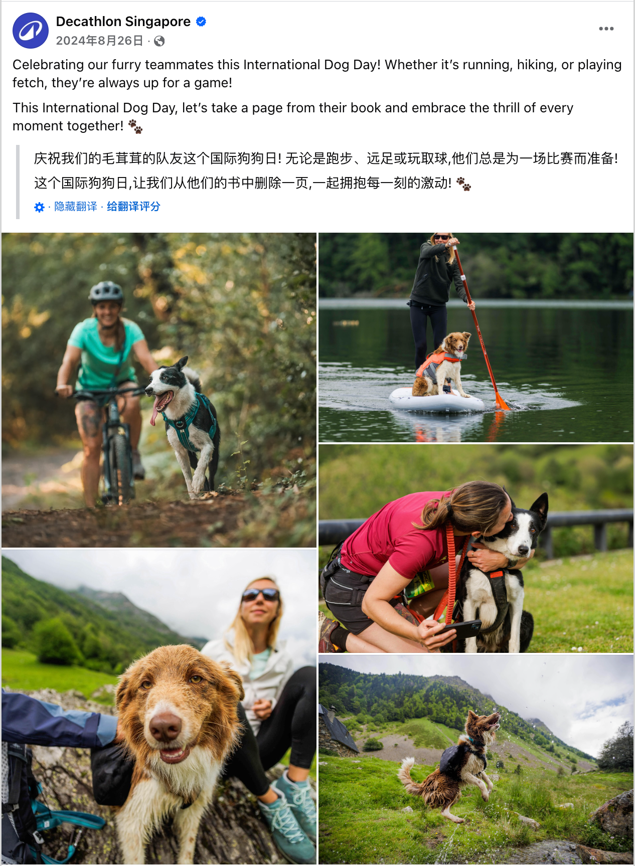 8月海外营销日历：世界摄影日，国际青年日，科隆国际游戏展，国际狗狗日，国际猫咪日，世界运动会...