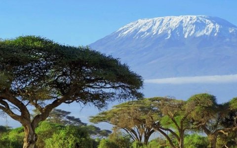 出口非洲应该重点关注哪些国家？