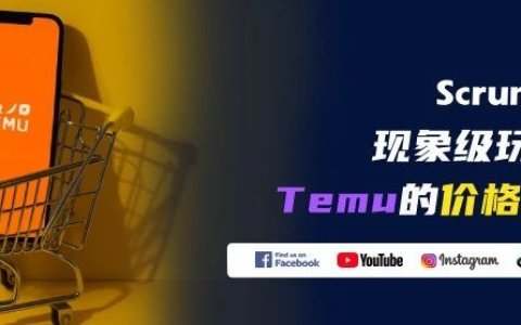 Temu 的 “低价神话”：跨境电商的搅局者还是昙花一现？