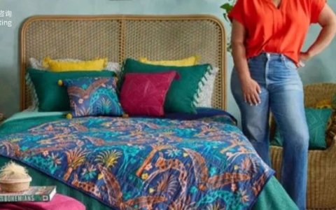 跨境亿级家居企业如何突破单品类增长天花板！打造全域家居生态？