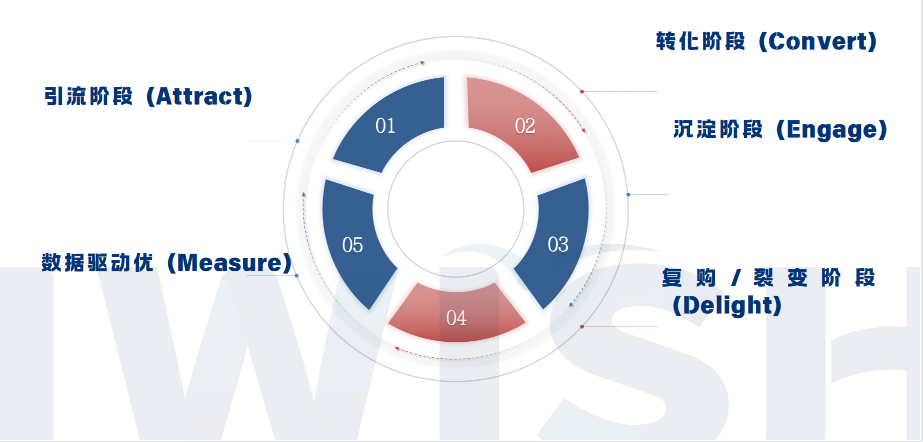 流量之外，品牌之本：独立站的长期主义（上）