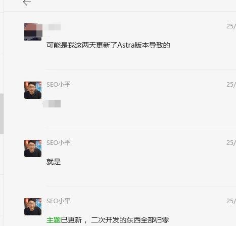 血泪忠告：代码小白千万别换WordPress主题！