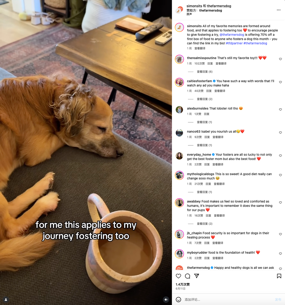 高端宠物食品蓝海：北美“人食级”狗粮5倍溢价全解码