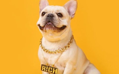 安徽大卖一年卖了10个亿！要挂牌上市了