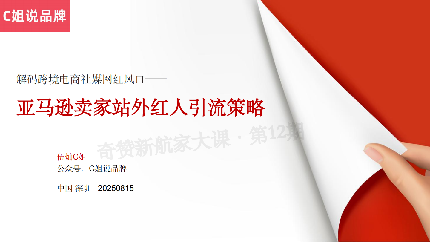 亚马逊卖家站外红人引流策略