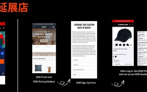 Shopify Plus的混合店与延展店？B2B怎么选是最优解？