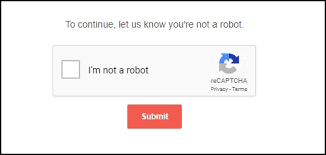 Shopify 卖家如何应对虚假流量？
