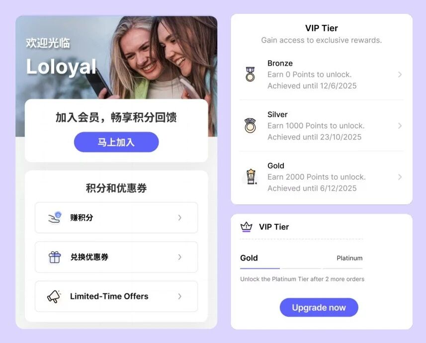 独立站会员积分设置指南：低成本提升复购与ROI的实战策略