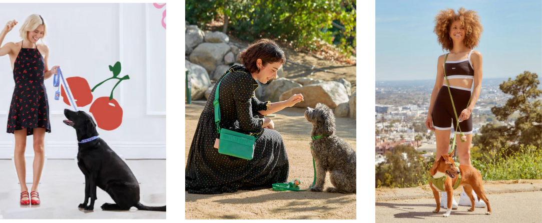 设计与实用兼具，Wild One 宠物用品出圈