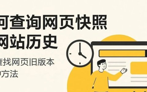 怎么看网页快照？为什么要分析网站历史版本