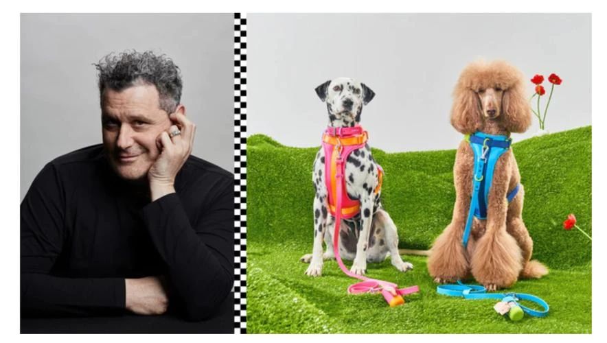 设计与实用兼具，Wild One 宠物用品出圈