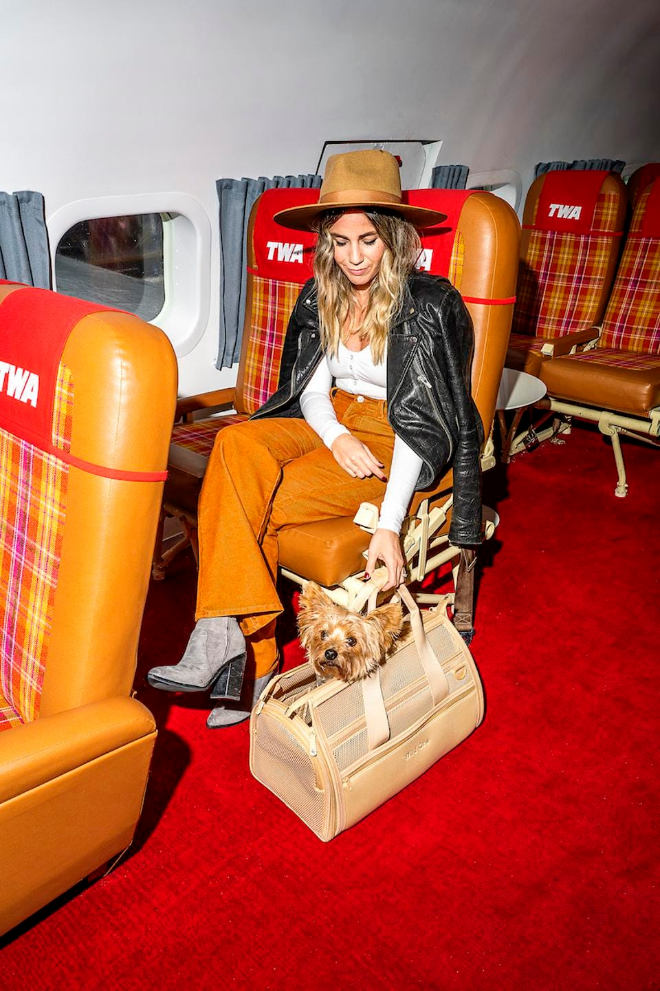 设计与实用兼具，Wild One 宠物用品出圈