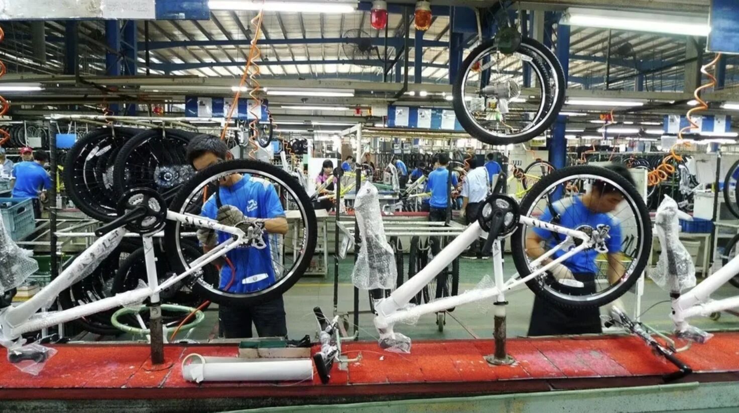 快讯：欧盟Calypso行动再次查获超1900个中国集装箱！；Giant、Merida 及 Ideal 8月收入下降！