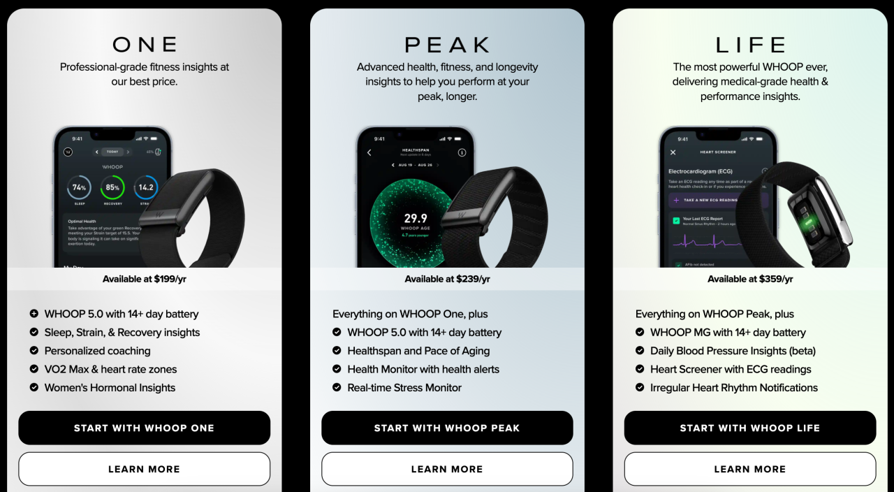 没有屏幕的智能手表，靠“免费送”实现7亿年营收