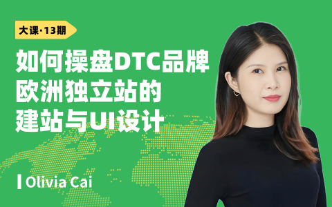 如何操盘DTC品牌欧洲独立站的建站与UI设计