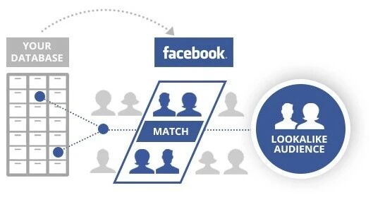 Facebook（Meta）广告受众怎么确定