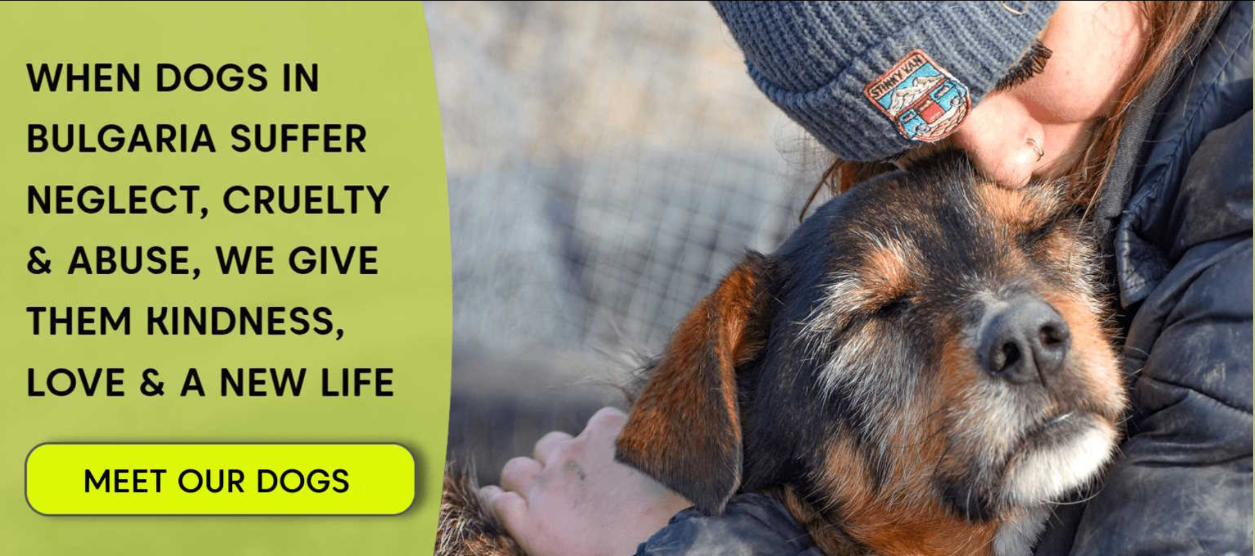 2万字总结深圳SEO大会