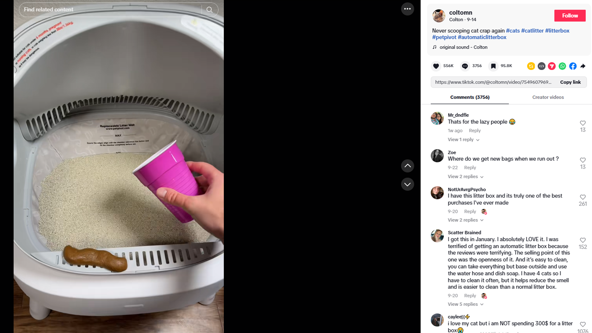 海外红人营销|99年女生靠“猫砂盆出海”，7个月狂揽两亿！