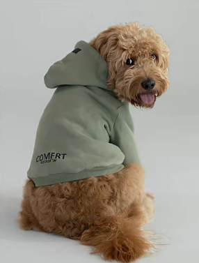 3年狂赚5.7亿！这件卫衣在TikTok的爆款逻辑