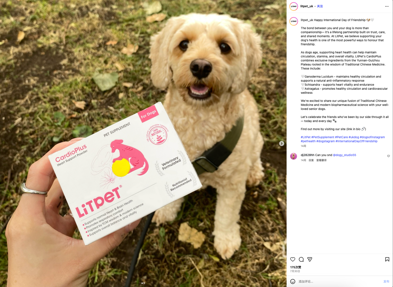 给老年宠物做“保健品”？这个中国品牌把中药卖到了欧洲