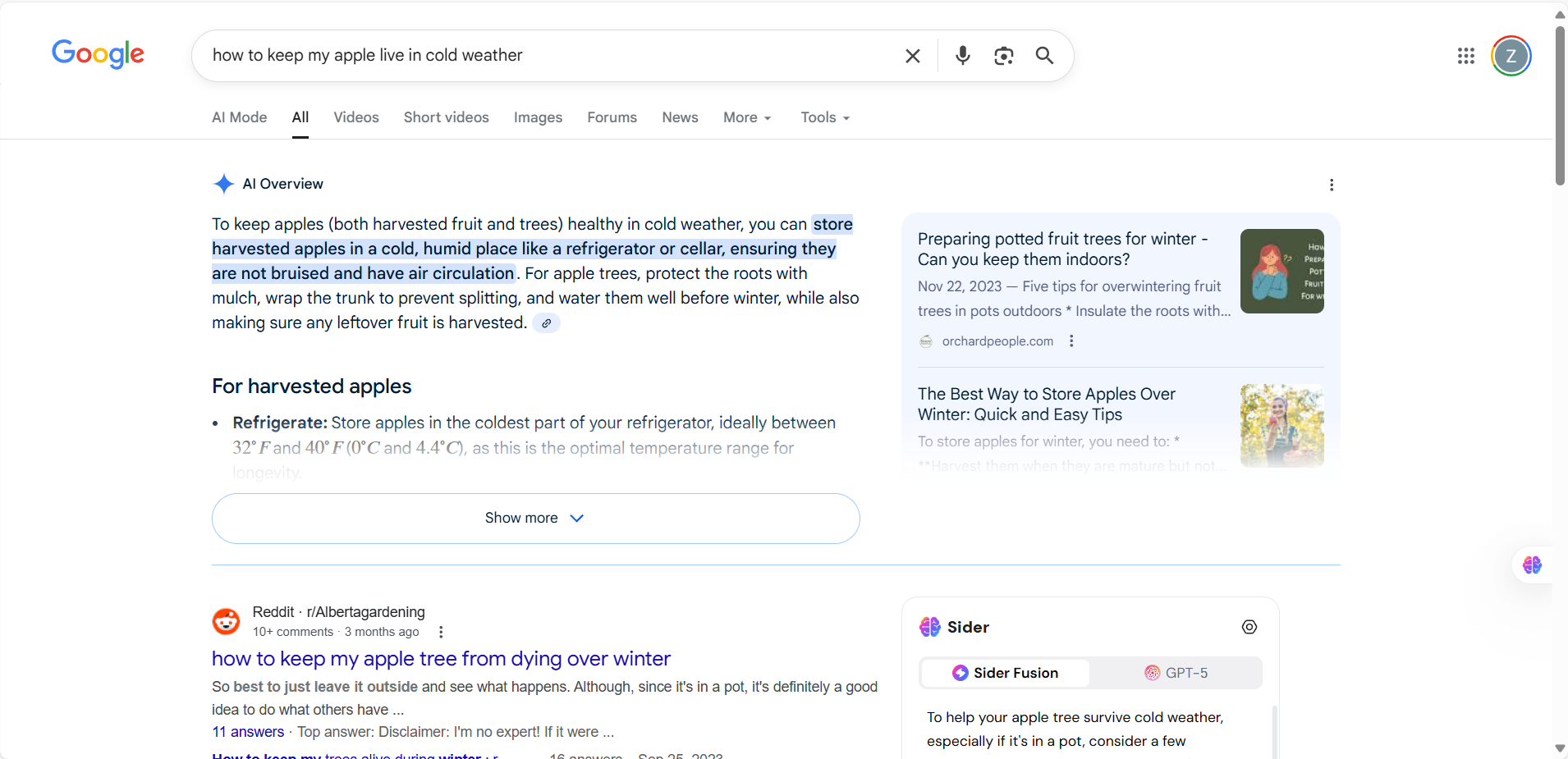 什么是 Entity SEO？以及它为何是 AI 时代 GEO 的底层能力