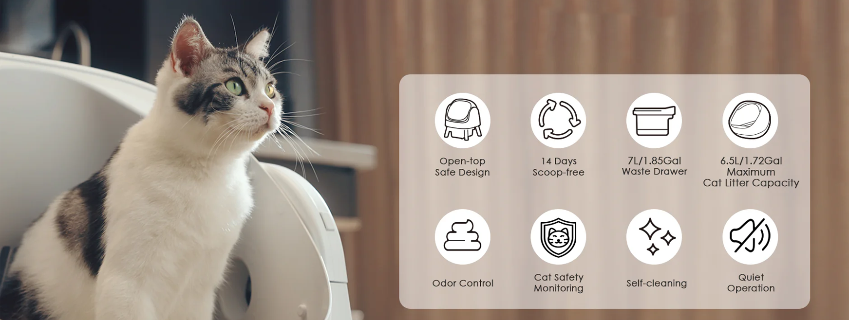 海外红人营销|99年女生靠“猫砂盆出海”，7个月狂揽两亿！