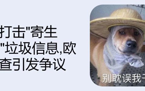 谷歌打击"寄生SEO"垃圾信息, 欧盟调查引发争议