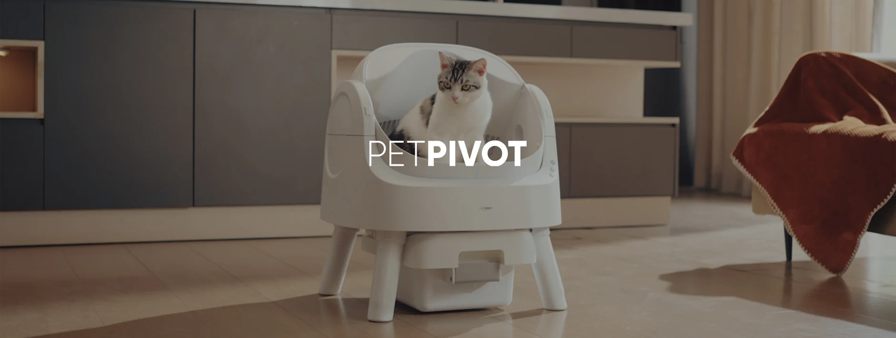 海外红人营销|99年女生靠“猫砂盆出海”，7个月狂揽两亿！