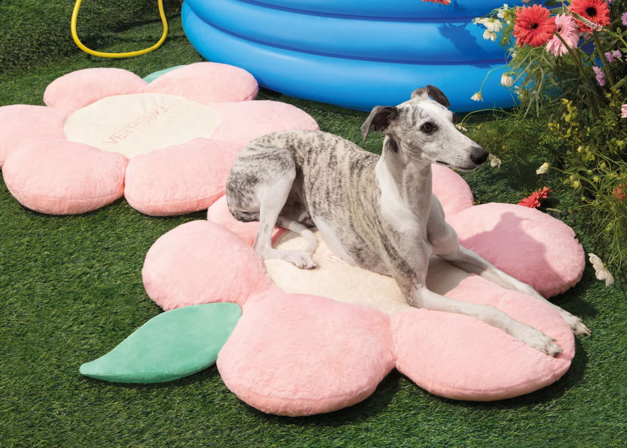 你没听过的上海品牌，在北美把160美元的猫爬架卖成了爆款