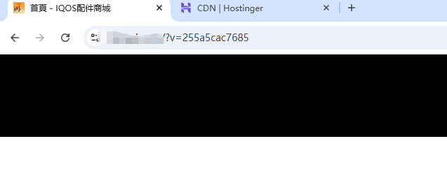 WordPress 外贸建站用什么服务器好？共享 vs 独享主机 vs VPS – 缓存版本