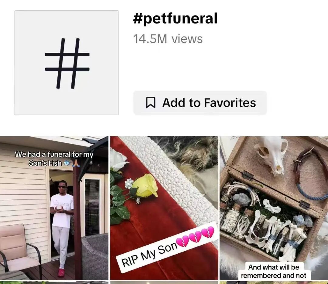 单品狂赚5000万！TikTok这些小众赛道正在疯狂吸金