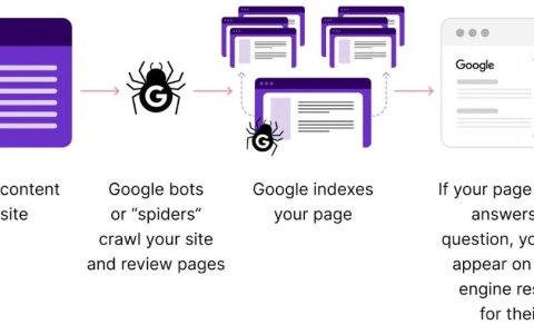 今天聊聊网站开发是如何变成我的技术SEO好拍档的