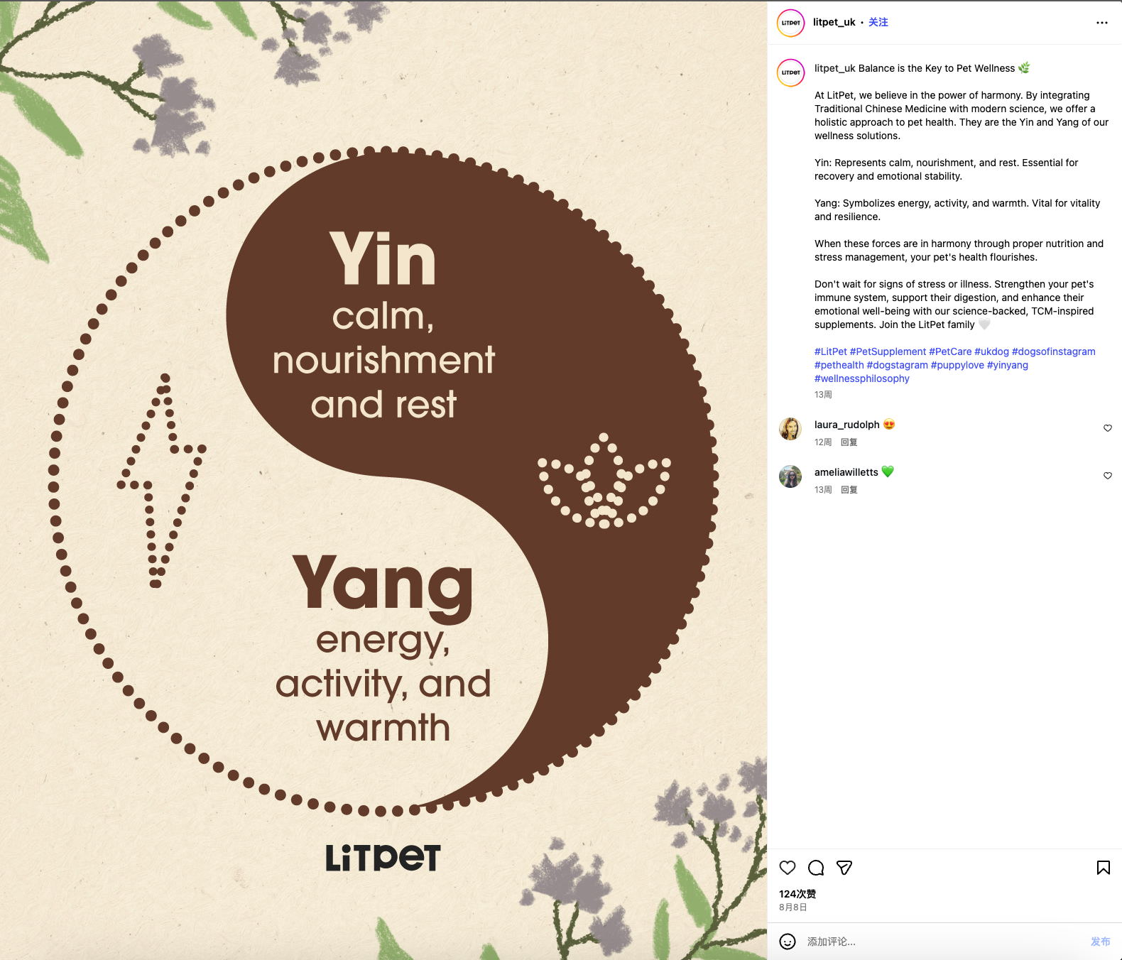 给老年宠物做“保健品”？这个中国品牌把中药卖到了欧洲