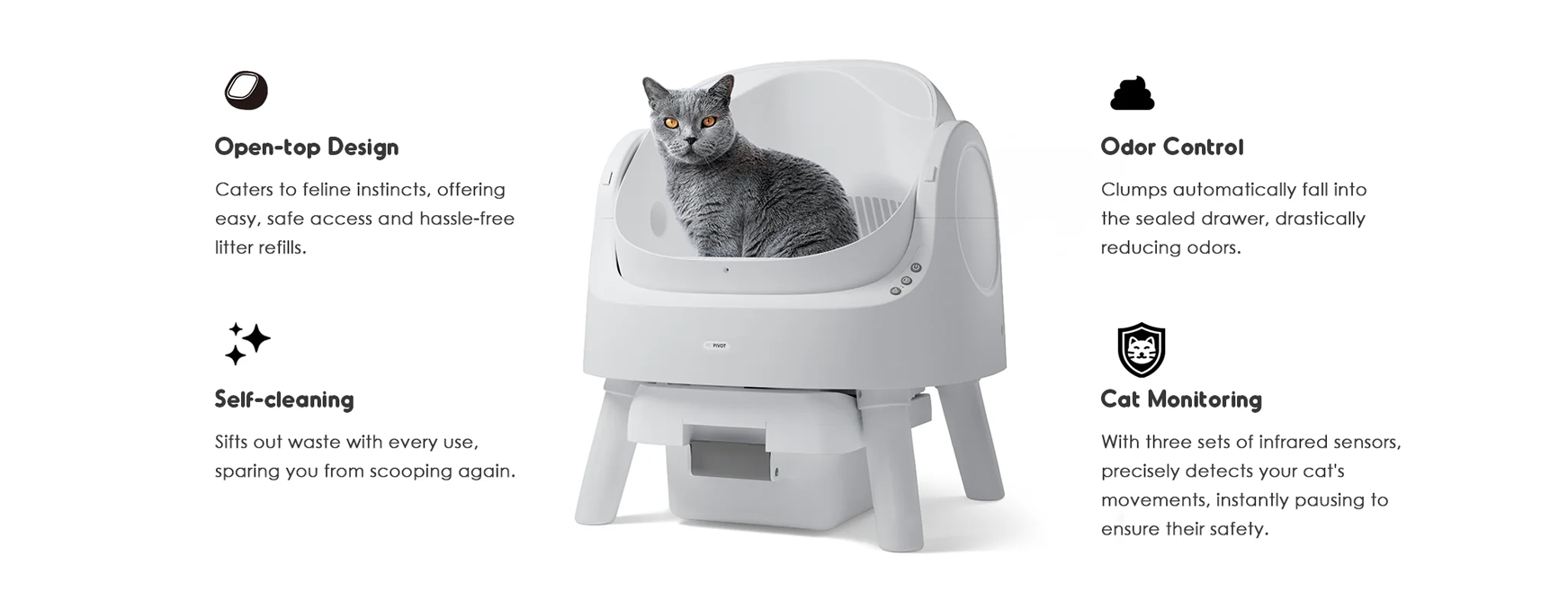 海外红人营销|99年女生靠“猫砂盆出海”，7个月狂揽两亿！