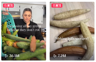 一根瓜竟能摇身变跨境爆品：TikTok热推，独立站卖断货，90后姑娘返乡创业年销3700万！