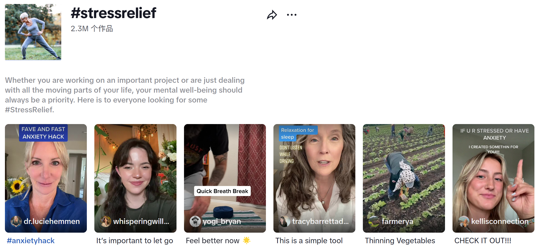 从0到千万！TikTok玩具壁虎黑五爆卖!