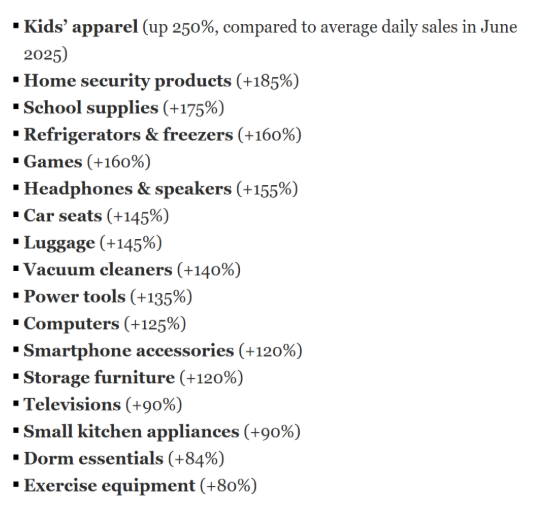 复盘2025年亚马逊Prime Day卖爆的产品，营销是怎么做的？