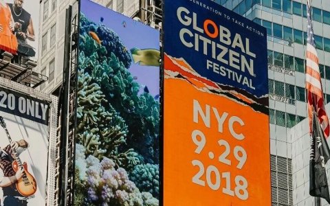 一人电商公司，出海的时代红利。