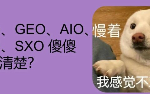 SEO、GEO、AIO、AEO、SXO 傻傻分不清楚？