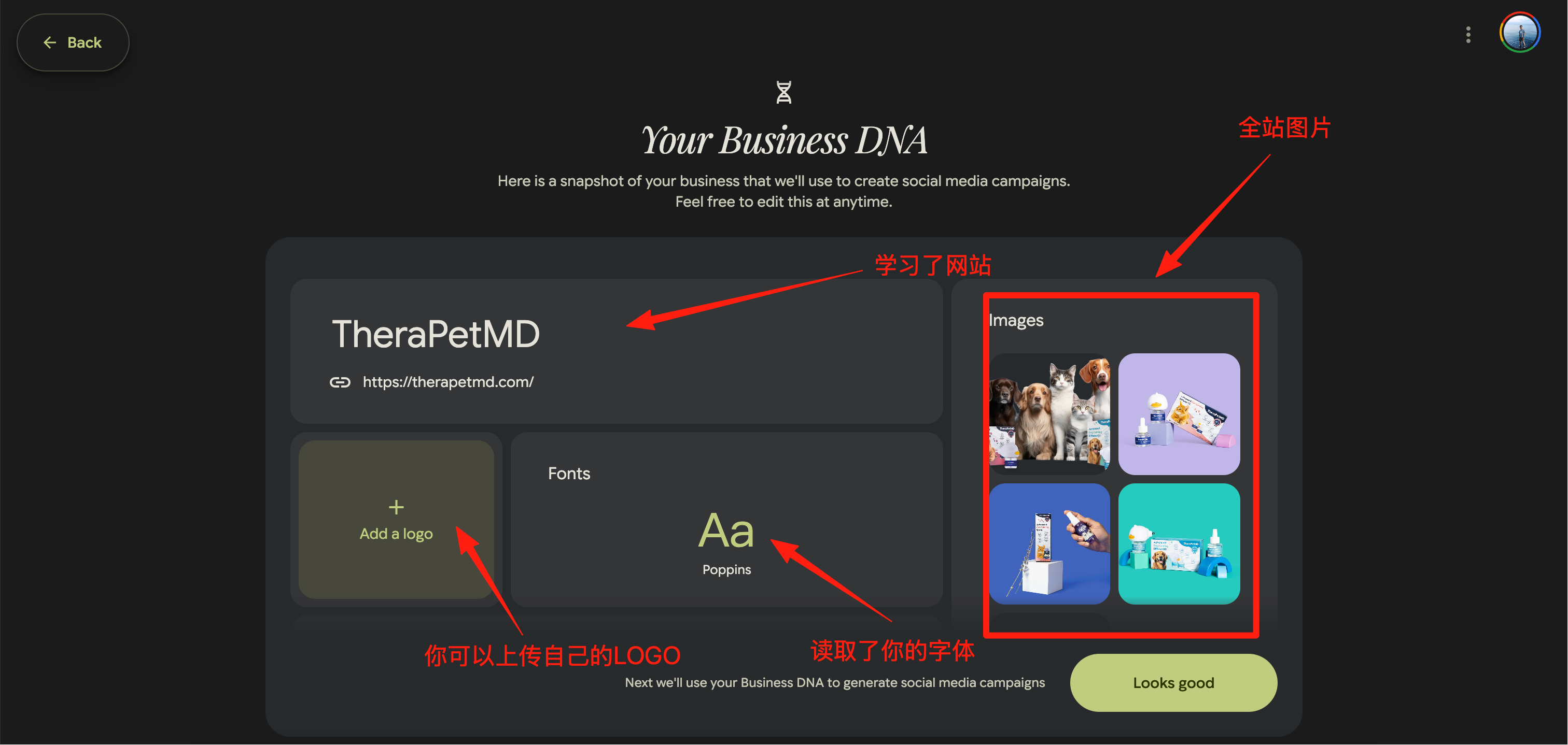 谷歌实验室又出神器，Pomelli让营销更简单