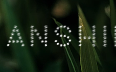 海外红人营销|估值超2亿！美女老板靠百元刮痧板让欧美人疯狂！