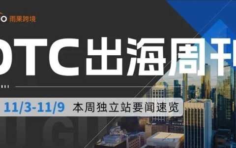黑五年末大促！独立站营销政策、选品、广告全指南 |  DTC 周刊
