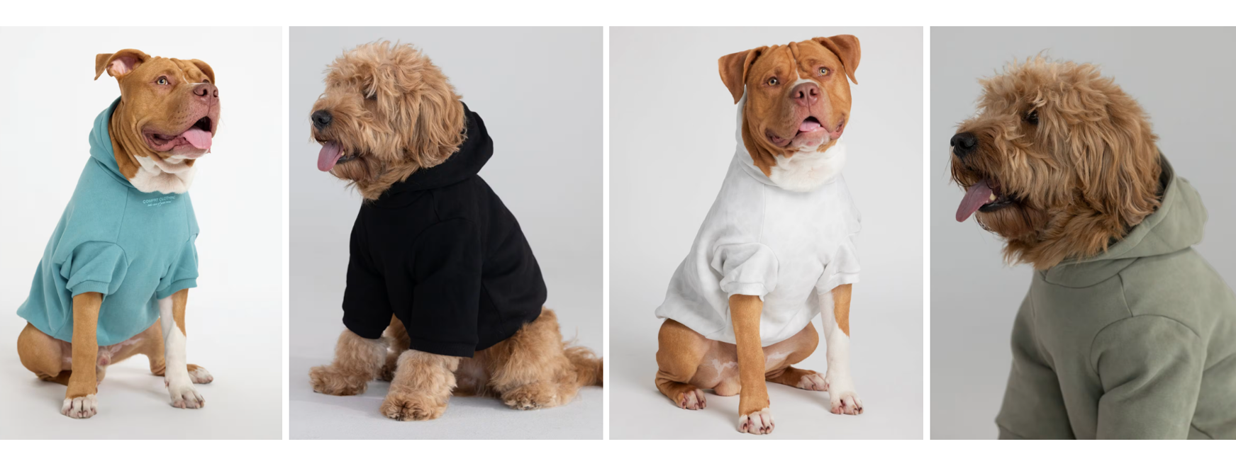 海外红人营销|创立三年狂赚5亿！它靠网红把卫衣卖到总销六十万！