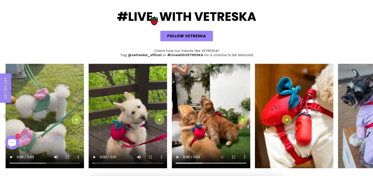 你没听过的上海品牌，在北美把160美元的猫爬架卖成了爆款