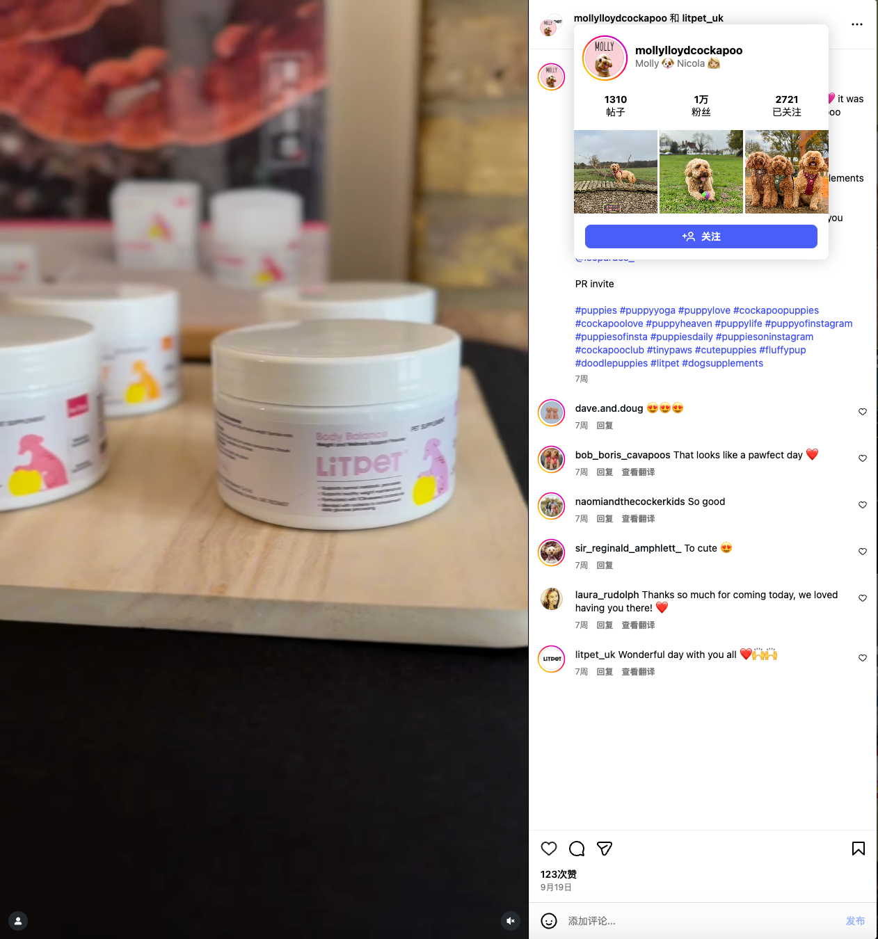 给老年宠物做“保健品”？这个中国品牌把中药卖到了欧洲