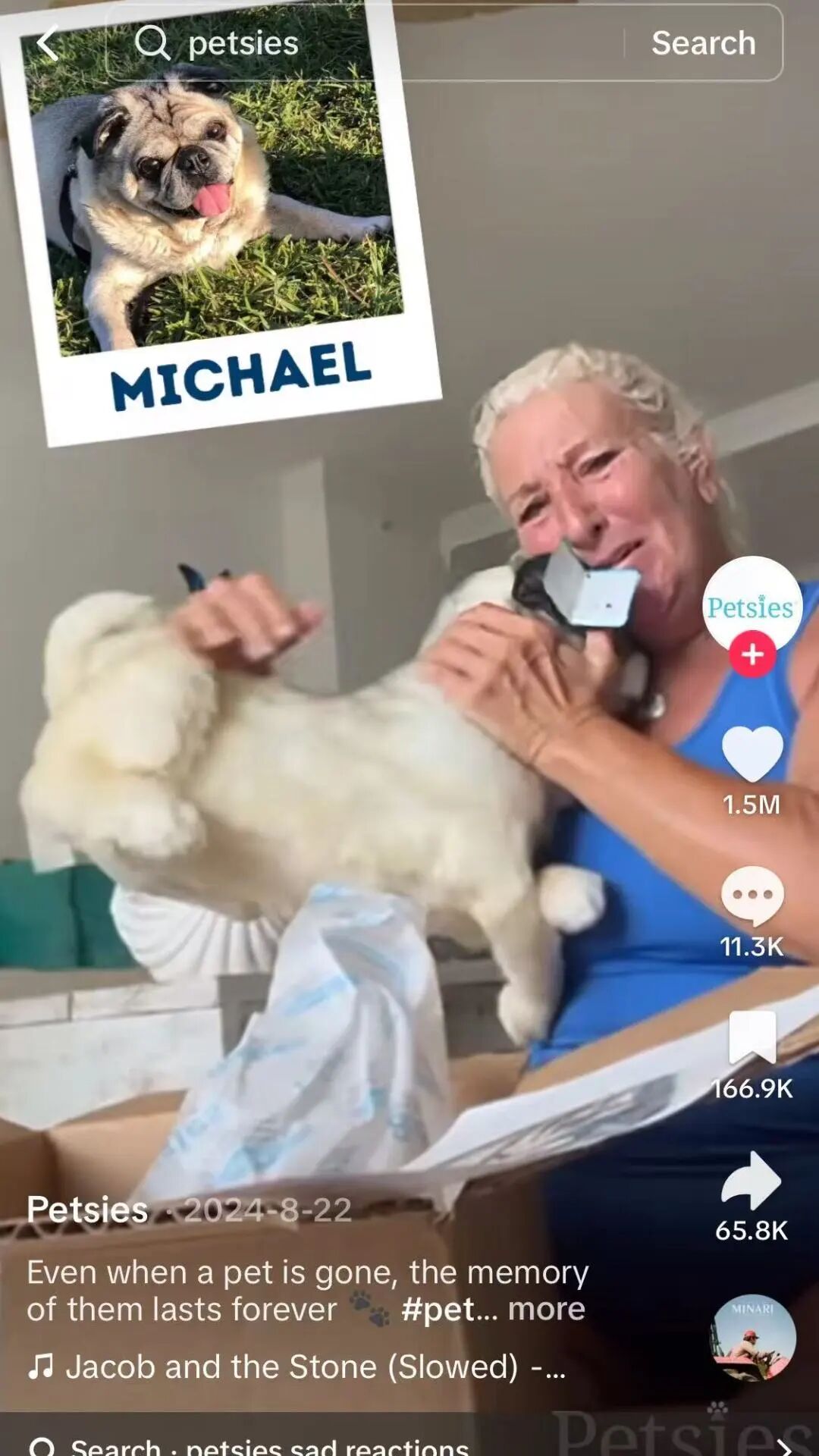 单品狂赚5000万！TikTok这些小众赛道正在疯狂吸金