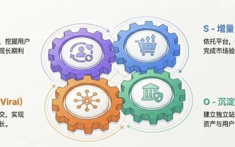 DTC出海品牌的混合打法：独立站 + 社交电商 + 会员增长体系(上篇）