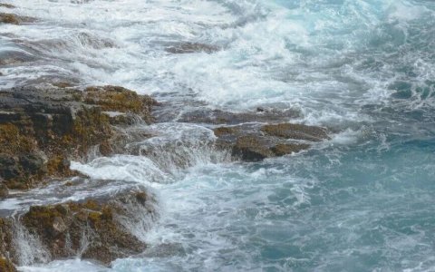 TikTok美国事件尘埃落定，周受资发布内部信